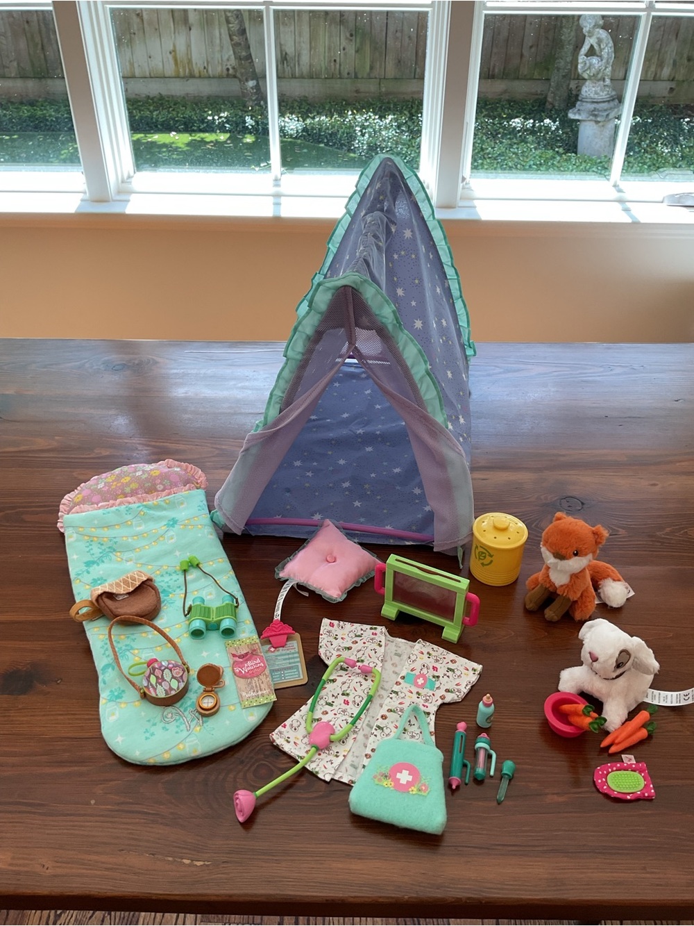 American Girl Wellie wisher camping and pet bundle